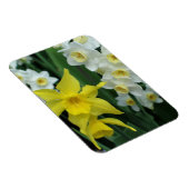 Narcissen Magneet (Rechterzijde)