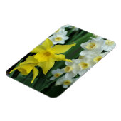 Narcissen Magneet (Linkerzijde)
