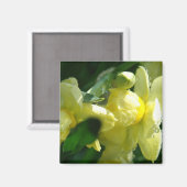 Narcissen Met Waterdruppels Magneet (Voorkant / Achterkant)