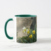 NARCISSEN mok (Links)