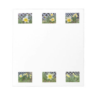 Narcissen Notitieblok