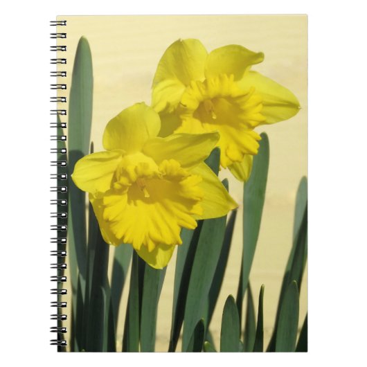 Narcissen - notitieboek (Voorkant)
