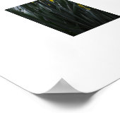 Narcissen  poster (Hoek)