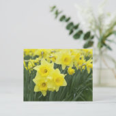 Narcissen RF) Briefkaart (Staand voorkant)