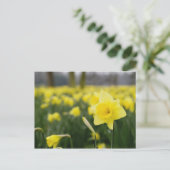 Narcissen (RF) Briefkaart (Staand voorkant)