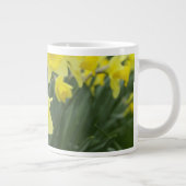 Narcissen RF) Grote Koffiekop (Rechts)