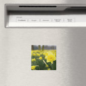 Narcissen (RF) Magneet (Insitu (Vaatwasser))