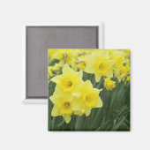 Narcissen RF) Magneet (Voorkant / Achterkant)