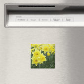 Narcissen RF) Magneet (Insitu (Vaatwasser))