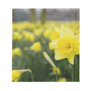 Narcissen (RF) Notitieblok