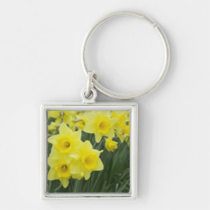 Narcissen RF) Sleutelhanger