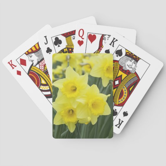 Narcissen RF) Speelkaarten (Achterkant)