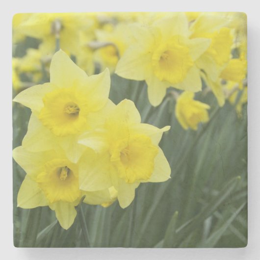 Narcissen RF) Stenen Onderzetter (Voorkant)