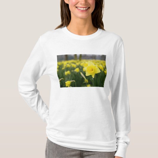Narcissen (RF) T-shirt (Voorkant)