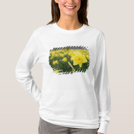 Narcissen (RF) T-shirt (Voorkant)