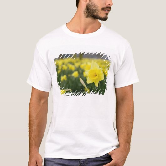 Narcissen (RF) T-shirt (Voorkant)