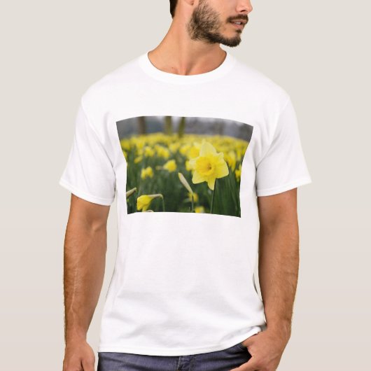 Narcissen (RF) T-shirt (Voorkant)