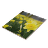 Narcissen (RF) Tegeltje (Zijkant)