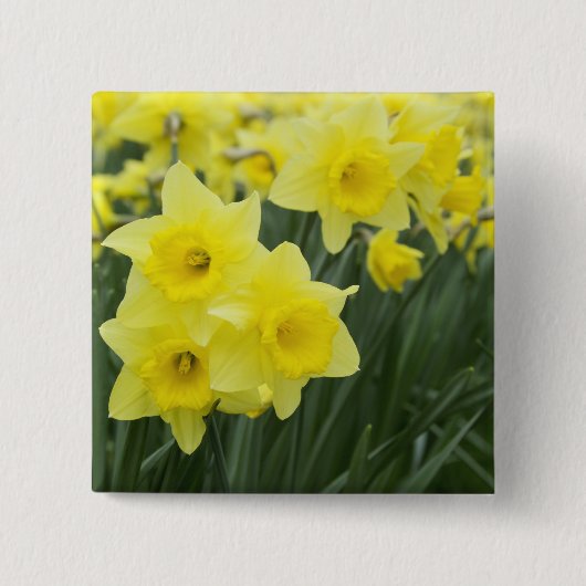 Narcissen RF) Vierkante Button 5,1 Cm (Voorkant)