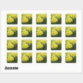 Narcissen RF) Vierkante Sticker (Vel)