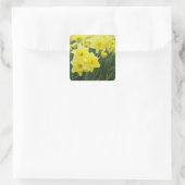 Narcissen RF) Vierkante Sticker (Tas)