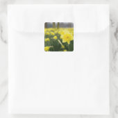 Narcissen (RF) Vierkante Sticker (Tas)