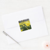 Narcissen (RF) Vierkante Sticker (Envelop)