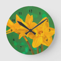 Narcissen
