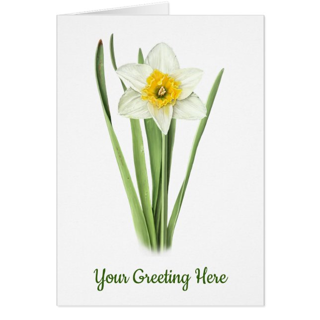 Narcissenbloem (Voorkant)