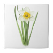 Narcissenbloem Tegeltje (Voorkant)