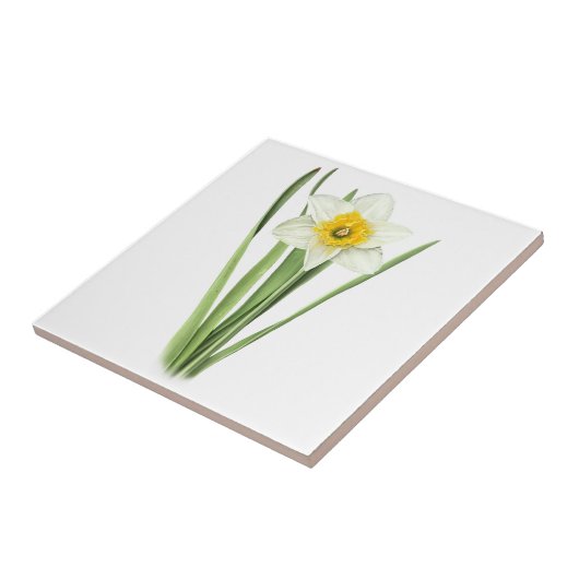 Narcissenbloem Tegeltje (Zijkant)