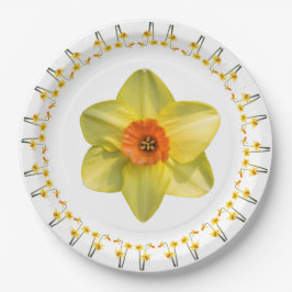 Narcissenmanie. Papieren Bordje