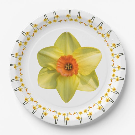 Narcissenmanie. Papieren Bordje (Voorkant)