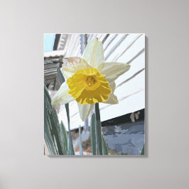 Narcissenportret Canvas Afdruk