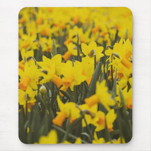 Narcissenveld Muismat (Voorkant)