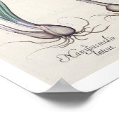 Narcissi: 1.Narcissus maximus medio purpureus; 2.N Poster (Hoek)