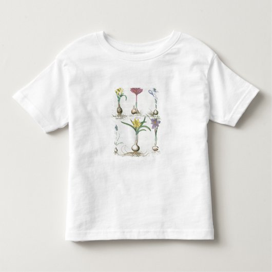 Narcissi, Crocuses en Hyacinth: 1.Narcissus autum Kinder Shirts (Voorkant)