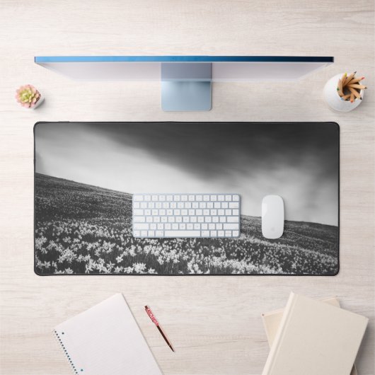 Narcissubloemen op de bergolië, Slovenië Bureaumat (Kantoor 1)