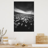 Narcissubloemen op de bergolië, Slovenië Poster (Keuken)