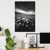 Narcissubloemen op de bergolië, Slovenië Poster (Thuiskantoor)