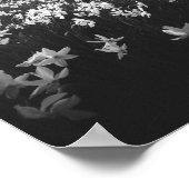 Narcissubloemen op de bergolië, Slovenië Poster (Hoek)