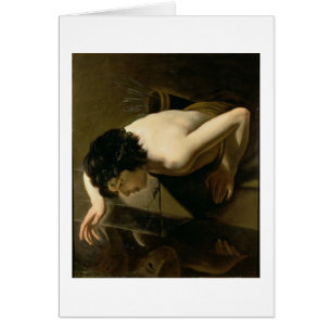 Narcissus