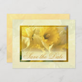 Narcissus Aankondigingen (Voorkant / Achterkant)