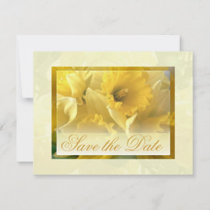 Narcissus Aankondigingen