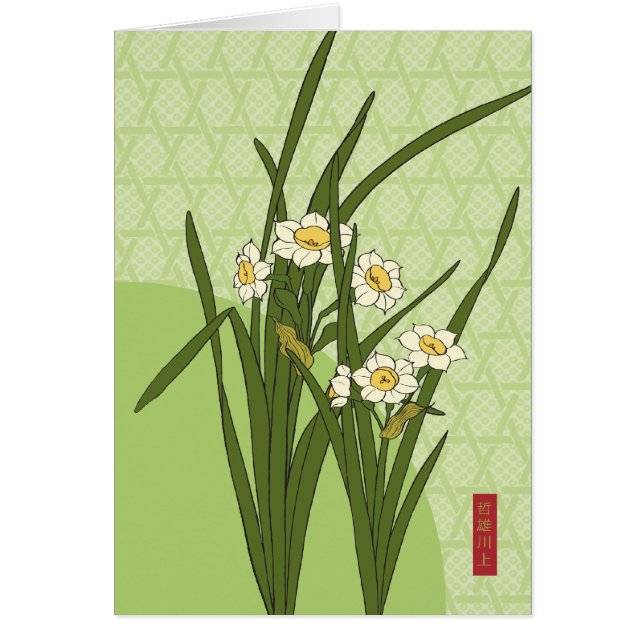 Narcissus Bloom (Voorkant)