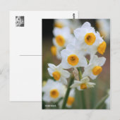 Narcissus [Briefkaart] Briefkaart (Voorkant / Achterkant)