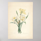 Narcissus Canvas Print (Voorkant)