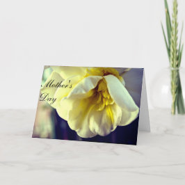 Narcissus Daffodil Mom's Day Kaart