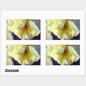Narcissus Daffodil Rechthoekige Sticker (Vel)