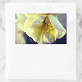 Narcissus Daffodil Rechthoekige Sticker (Tas)